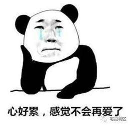 有没有很搞笑的,盘点那些让人捧腹大笑的瞬间